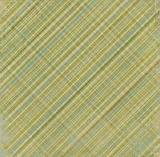 My Mind's Eye, Life Stories, 2 x 12" Cardstock, Green Plaid, Shabby Chic, Grunge