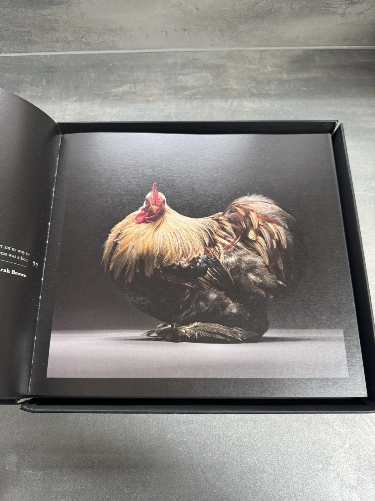 Chicken The Chicken Book The Most Beautiful Chickens in The World Matteo Limited 6