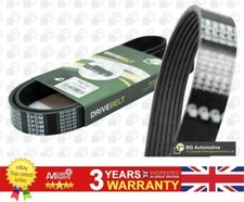 V Ribbed Belt For Infiniti EX FX G M M37 Q60 Q70 QX50 7PK2020XS