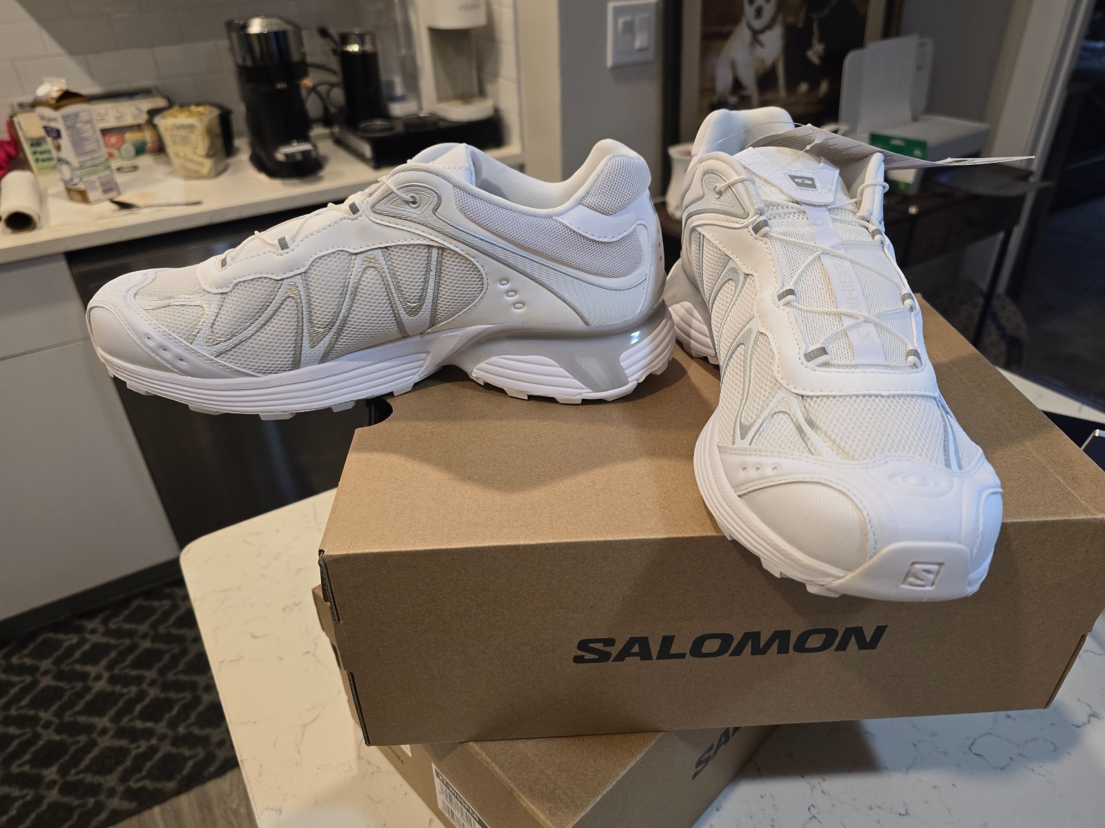 Salomon XT-Whisper White Lunar Rock Footwear Silver Men's Size 10 L47761900 NEW