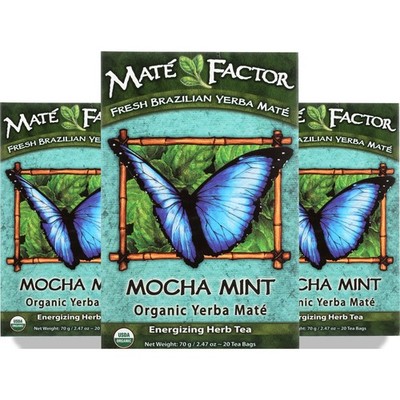 Mate Factor Mocha Mint Organic Yerba Tea Bags 20 Count 3 Pack