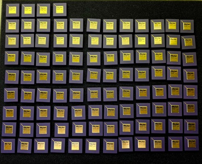 #ad 100PC 1lb10oz ACTEL A1225XL PG100 Ceramic Gold Vintage High Yield IC Scrap Clean $995.00