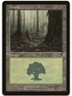 Forest (348) #348 (NM) Odyssey ODY Magic MTG