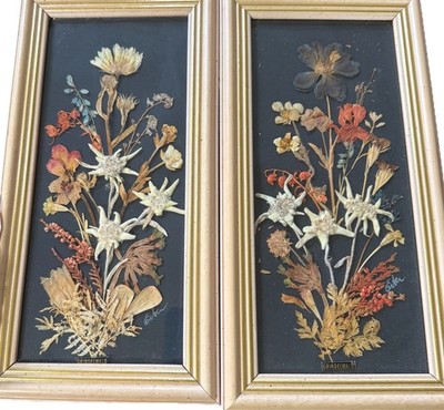 Signed Pressed Edelweiss and Alpine Swiss Wildflowers Art from Grindelwald 