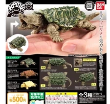 Turtle 03 Miniature figure Capsule Toy Complete 3 Types set Gacha Gashapon