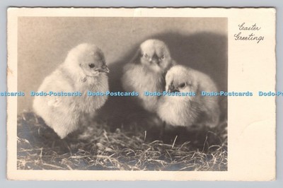 R808656 Ostergrüße. Küken. PM. Watford. Herts. 1937