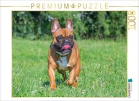 Calvendo Puzzle Fun In The Meadow | 1000 Pieces, Finished Size 25.2 × 18.9 In (6