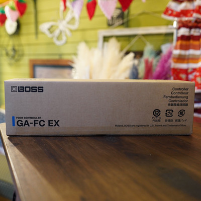 BOSS GA-FC EX Fuß-Controller-Gitarrenpedal