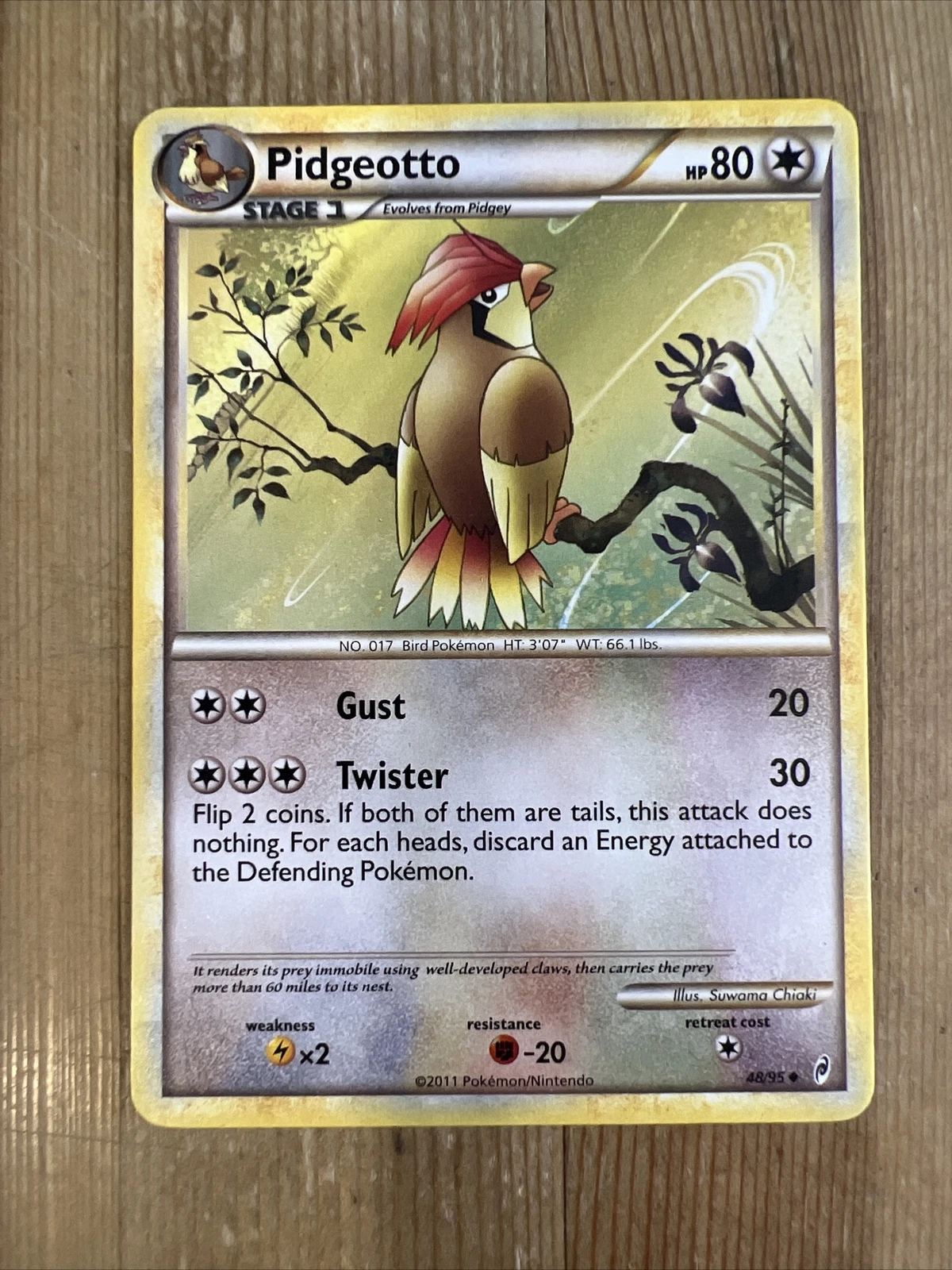 Pokémon TCG Pidgeotto Call of Legends 48/95 Regular Uncommon LP