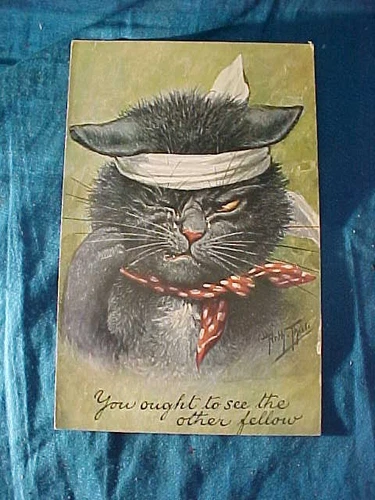 1920s COMIC CAT Illustrated POSTCARD " YOU OUGHT TO SEE THE OTHER GUY "