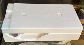 Nintendo NES Action Set Complete in Box CIB w/ Zapper DuckHuntMarioManual 