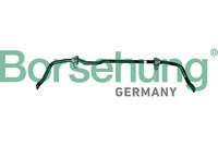 Stabilisator Fahrwerk Borsehung B10812 FüR Vw Passat B8 Variant 3G5 CB5 3G2 CB2