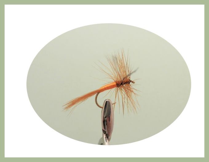 18 Mosche Secche Per Pesca Alla Trota – Greenwell, Sherry Spinner, Tupps – UK Troutflies