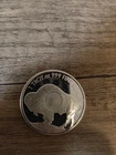 1 Troy oz Buffalo - Indian Head Silver Round .999 fine Silver Bullion
