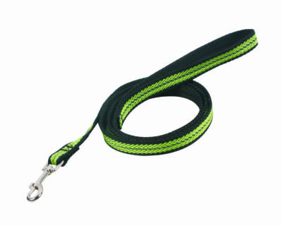Pet Pau's Reflective and Lightweight Dog Leash & Collar Set - Green, Small