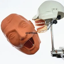 Dental Simulator Nissin Manikin Phantom Head Model With Bench Mount