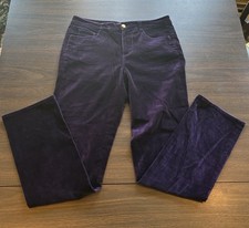 Purple Ralph Lauren Velvet Pants Size 2