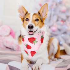 2Pcs Strawberry Dog Bandana Cute Summer Fruit Theme Triangle Pet Scarf Red Pi...