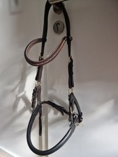 Gebisslose Trense braun WB Barefoot/Kieffer