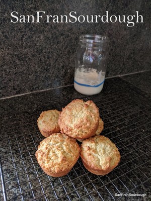 Sourdough Starter Oregon Trail style Delicious Bread bread pastry