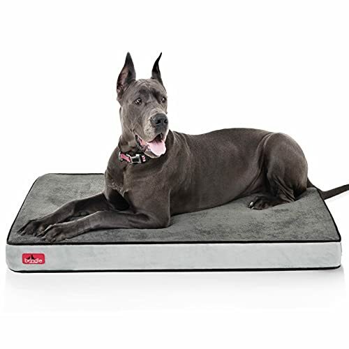 brindle bed