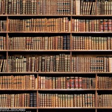 Library Bookshelf Book Print Fabric Bookcase Drop Curtain Cotton Decor 55" wide