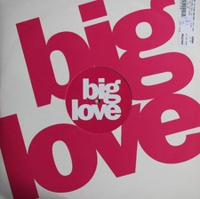 DJ Pierre Ft.  Sylfronia King - Destroy This Track (12")