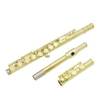 C Key Flute Instrument with Carry Leather Case Cleaning Cloth 16Hole Gold Plated