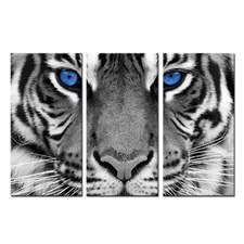 KREATIVE ARTS Large 3 Pieces Canvas Prints Wall Art Blue Eyed Tiger Poster Pr...