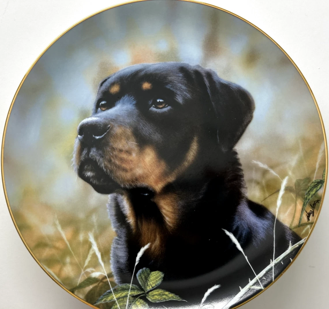 Silver Rottweiler