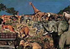 Wallerstaedten Raubtier und Grosswild Safari