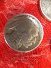 buffalo nickels