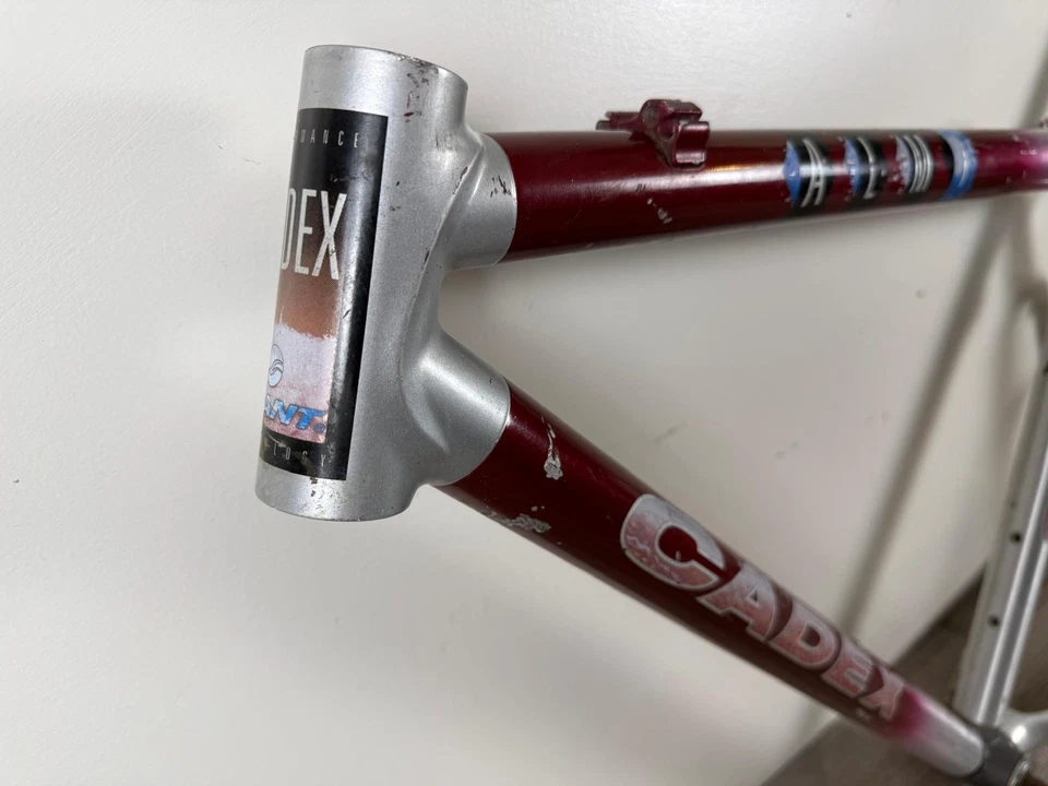 Cuadro de bicicleta de montaña vintage Giant Cadex ALM 18 pulgadas años 90 Foto 2 de 4