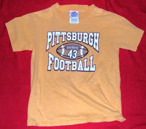 Pittsburgh Steelers Football T Shirt Child Youth Small 6 / 8  NFL #43 Polamalu