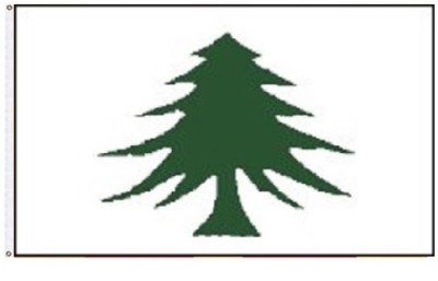 3x5 Massachusetts Navy 1775-1777 Pine Tree Washington Cruisers Flag 3'x5' Banner