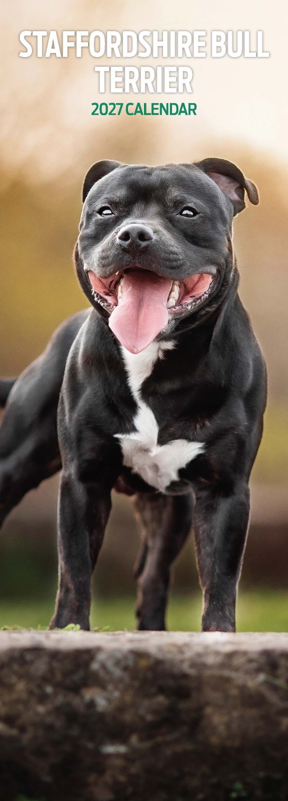 Staffordshire Bull Terrier 2027 Slim Calendar - Image 2
