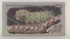 2020 Topps Allen & Ginter Chrome Mini Buggin' Out! Calleta Silkmoth #MBOC-8 07qr