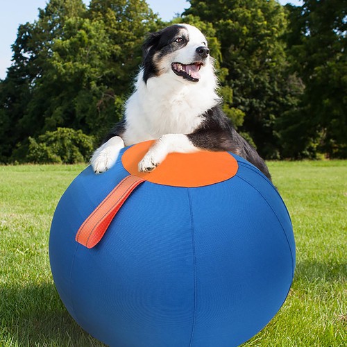45cm Giant Dog Herding Ball, 1800D Oxford Wear Resistant Inflatable Pet Play Toy