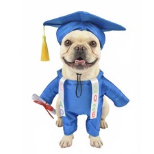 Dog Standing Graduation Costume Outfits with Stole DIY Letter Stickers,Pet Gr...