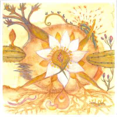 Markandeya / Joaquin Cornejo / VISION VERSIONS / Earthly Measures / EARTHLY020 