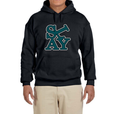 Philadelphia Eagles Darius Slay Love Park Hooded sweatshirt