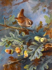 WREN by A. Thorburn bird oak acorns Tile Mural Kitchen Backsplash Marble Ceramic