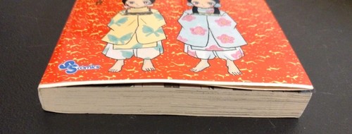 Inuyadha Graphic Novel/ Magna - Picture 5 of 8