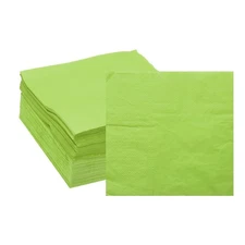 Cocktail Napkins, 100 Pack Grass Green 2-Ply 16" x 16" for Dinner Wedding Bar