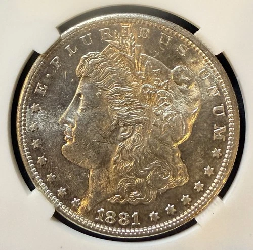 1881 S $1 Morgan Silver Dollar  Choice BU Looks Proof like Free Fast Shipping ￼