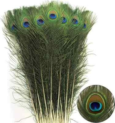 40Pcs Peacock Feathers Long Natural in Bulk 30-32 Inch 75-80 Cm for Vase Craft V