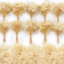 6500 Mini Dried Baby's Breath Flowers, 6'' Natural Ivory White Near-white