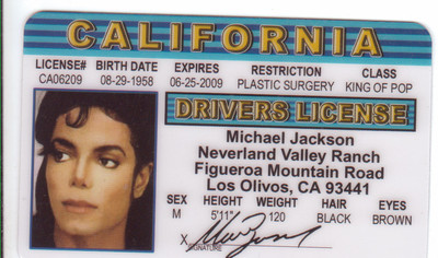Michael Jackson the King of Pop novelty plastic collectors card