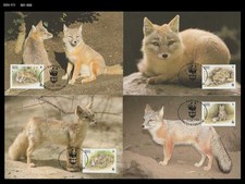 Wildlife,Fox,Vulpes corsac,Animal,Nature,Kyrgyzstan 1999 Maximum Card,WWF