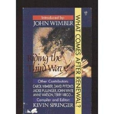 Riding The Third Wave Taschenbuch Kevin Springer